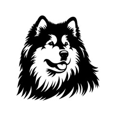 Vector Alaskan Malamute Silhouette - A Stunning Tribute to Canine Elegance and Strength- Alaskan Malamute Illustration- Minimalist Alaskan Malamute  vector.