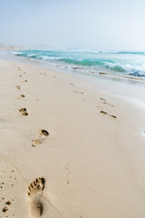 Footprints on the beach Praia de Chaves, Boa Vista, Cape Verde 
