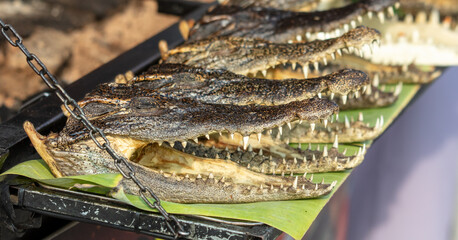 Teeth on crocodile jaws as a background