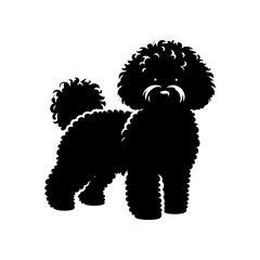 Bichon FRISE Silhouette- Bichon FRISE Illustration- Minimalist Bichon FRISE vector.
