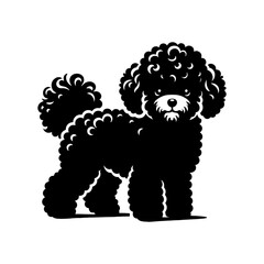 Bichon FRISE Silhouette- Bichon FRISE Illustration- Minimalist Bichon FRISE vector.