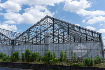 Plastic greenhouses and fields in Japan