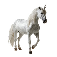 Obraz premium A white unicorn is standing on a transparent background.