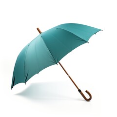 Umbrella teal