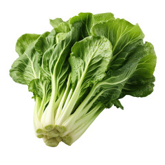 Fresh and healthy bok choy, ready to be cooked into a delicious meal. on a transparent background.