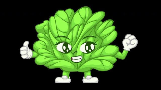 Spinach cartoon character showing thumbs up. humanized spinach vegetable. good health concept. animation video with alpha channel
