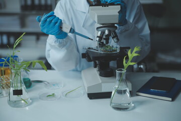 Scientist cutting plant tissue culture in petri dish, performing laboratory experiments. Small...