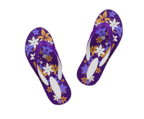 eva flip-flop or slippers isolated