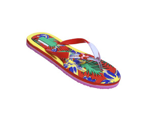 eva flip-flop or slippers isolated