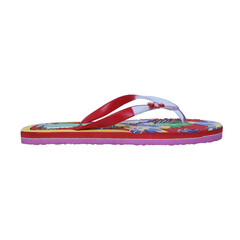 eva flip-flop or slippers isolated