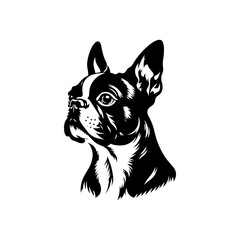  Minimalist Boston Terrier Silhouette-
Elegant Lines Capturing the Essence- Boston Terrier Illustration- Boston Terrier Vector.