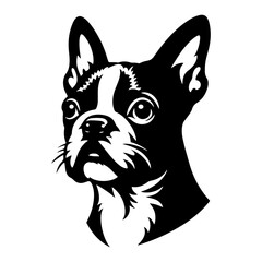  Minimalist Boston Terrier Silhouette-
Elegant Lines Capturing the Essence- Boston Terrier Illustration- Boston Terrier Vector.