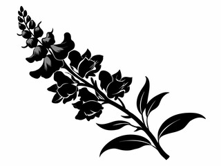 Snapdragon flower silhouette vector illustration with white background 