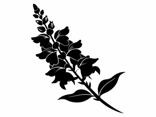 Snapdragon flower silhouette vector illustration with white background 