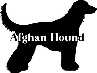  Afghan Hound. Dog silhouette dog breeds logo dog monogram vector