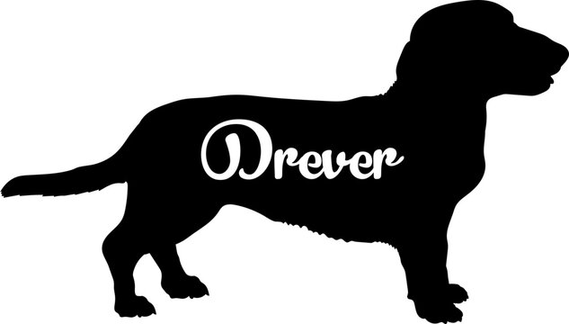 Drever. Dog silhouette dog breeds logo dog monogram vector