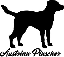 Austrian Pinscher Dog silhouette dog breeds logo dog monogram vector