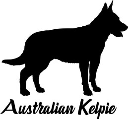 Australian Kelpie Dog silhouette dog breeds logo dog monogram vector