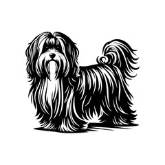 HAVANESE Dog Vector Silhouette- HAVANESE  Dog Illustration- Minimalist HAVANESE Dog  Vector Silhouette