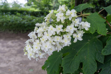 Around Akayama Castle (Akayama Historical Nature Park)