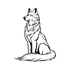 Sitting Wolf Stock Vector. illustration of a wolf on white background