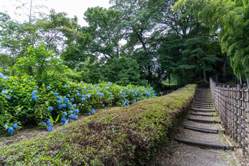 Around Akayama Castle (Akayama Historical Nature Park)
