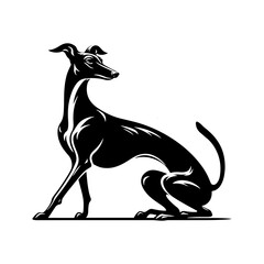Italian Greyhound Silhouette - Graceful Lines Capture the Beauty and Speed of this Elegant Breed- Italian Grey Hound Illustration- minimalist Italian grey hound vector.