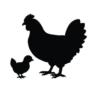 recommend clip art: silhouette of a chicken with chicken baby