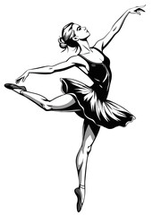 ballet dancer in a tutu