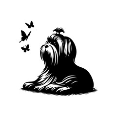 Maltese Dog Silhouette - Capturing the Delicate Beauty and Elegance of this Beloved Companion Breed- Minimalist Maltese Dog vector - Maltese Dog Illustration.