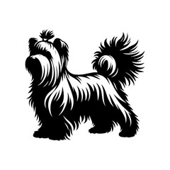 Maltese Dog Silhouette - Capturing the Delicate Beauty and Elegance of this Beloved Companion Breed- Minimalist Maltese Dog vector - Maltese Dog Illustration.