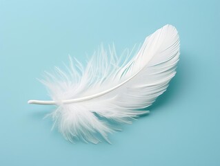 Capture the simplicity and elegance of a single white feather against a light blue backdrop, highlighting the soft contrast and peacefulness of the scene
