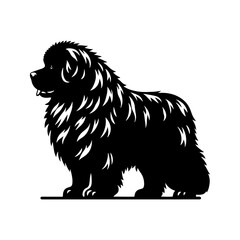 Newfoundland Dog Vector Silhouette - Capturing the Majestic Presence and Endearing Nature of this Beloved Large Breed- Newfoundland Illustration.