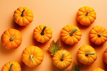 Top view pumpkins on bright background autumn concept