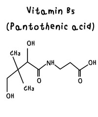 vitamin b5_Pantothenic acid illustration