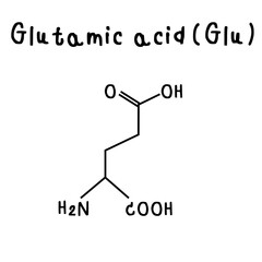 glutamic acid  chemical structure illustration