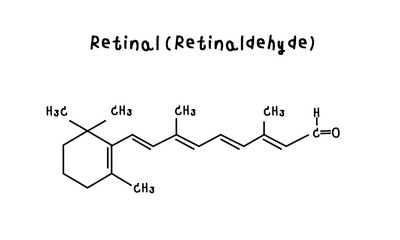 Retinal  illustration