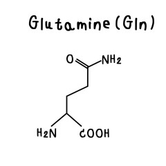 glutamine chemical structure illustration