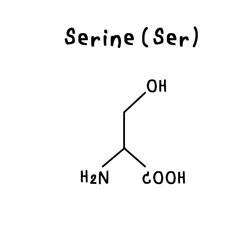 serine chemical structure illustration