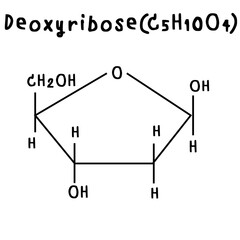 deoxyribose  chemical structure illustration