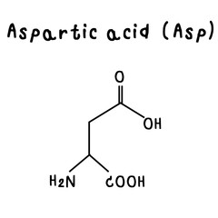 aspartic acid  chemical structure illustration