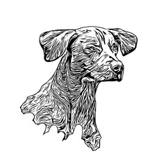 sketch of a dog with a transparent background