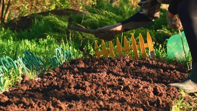 a girl works with a garden rake on her garden plot. sunny day