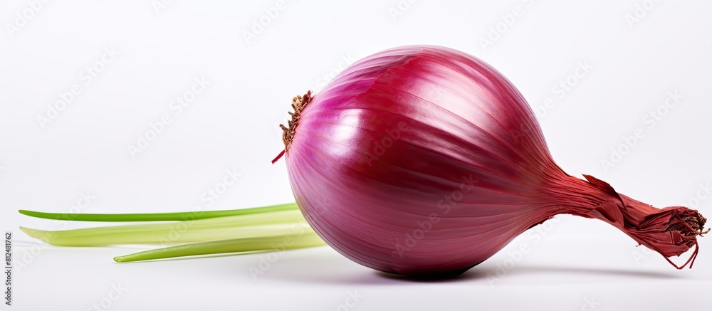 Aufkleber A red onion with a white background allowing for copy space image