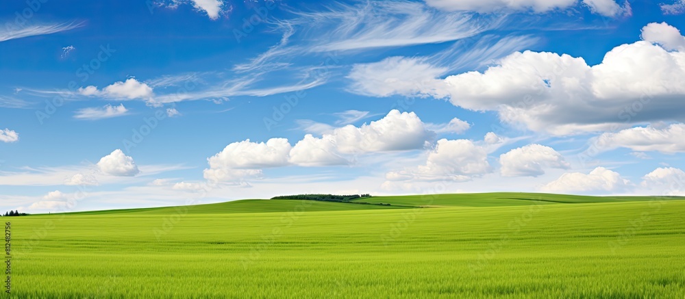 Aufkleber an expanse of untouched green field in the tranquil rural countryside perfect for a captivating copy