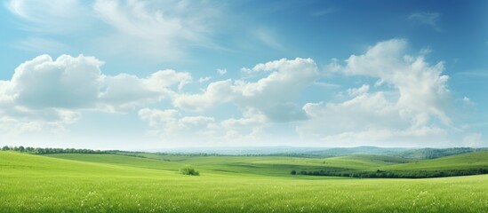 An expanse of untouched green field in the tranquil rural countryside perfect for a captivating copy space image