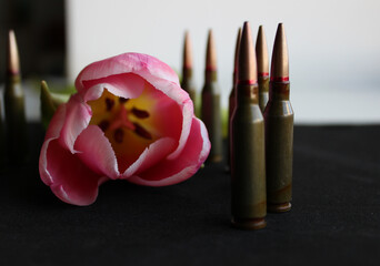 Bullets Lines Around Pink Flower On Black Silk Velvet Upholstery. Conceptual Stock Photo For...
