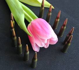 Live Ammunition Staying Around Pink Flower On Black Surface 
