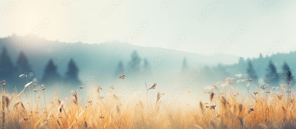 Fototapete a blurred photo of a natural landscape capturing the beautiful and hazy essence of nature as an idea