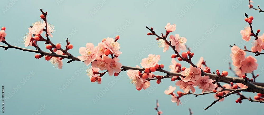 Poster Peach branches in full bloom with ample copy space image